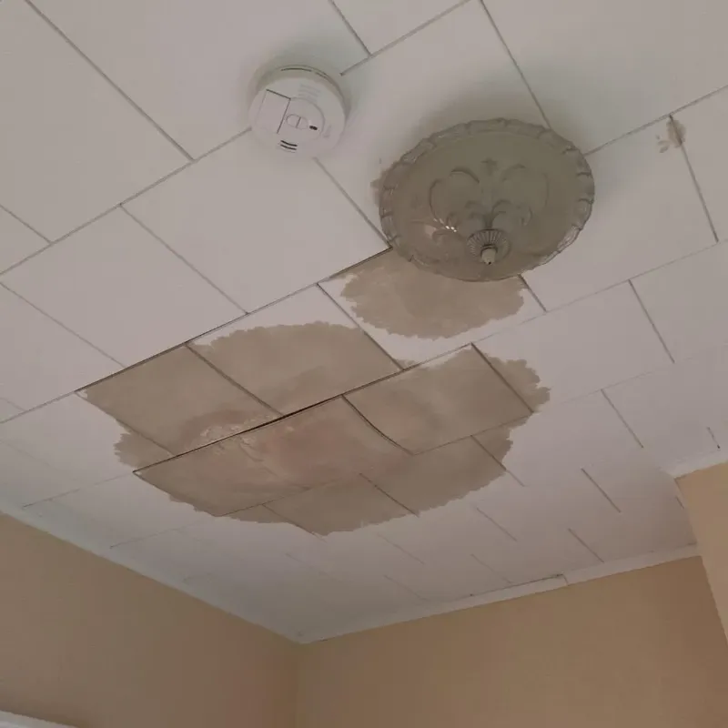 Ceiling Water Damage Repair in Berea, OH