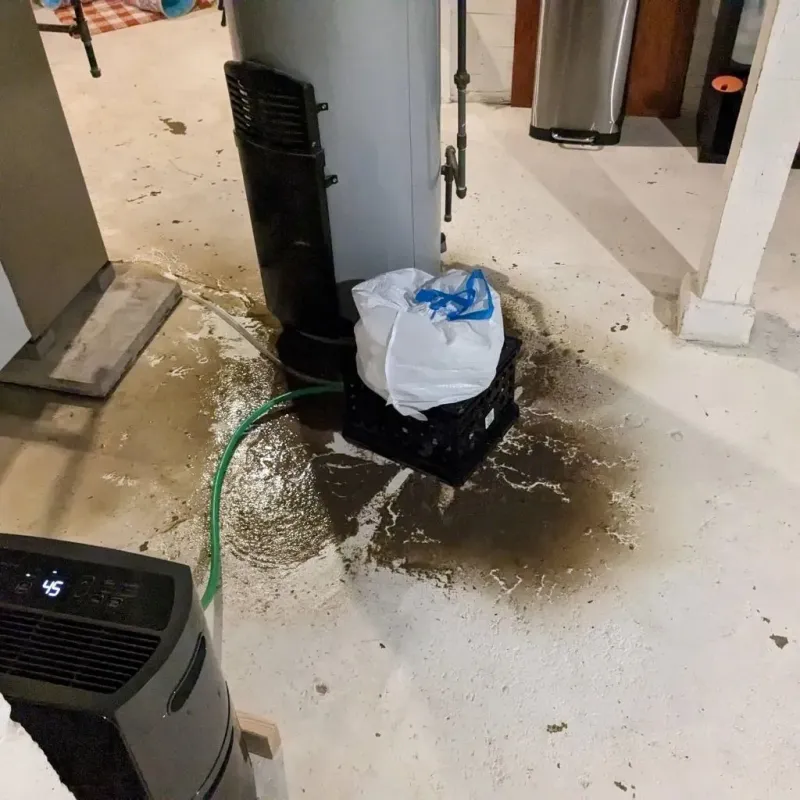 Sewage Backup Cleanup Service in Berea, OH